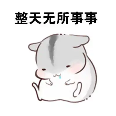  灰色的仓鼠表情包