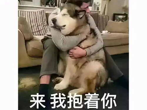  520网易放大招,一口气公布60款游戏干货,哈利波特正版手游要来