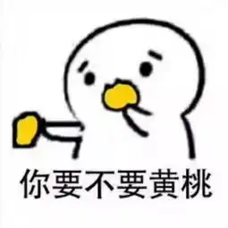  良辰美景与你共赏