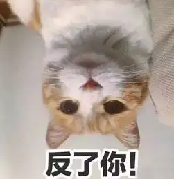  愚人节,发布一条真的福利信息