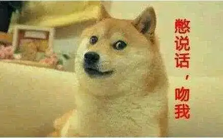  你要问我柴犬是什么样的狗它是狗界的奇葩之流
