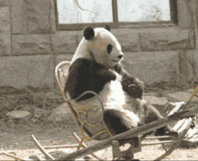  我们的滚滚是如何征服世界的