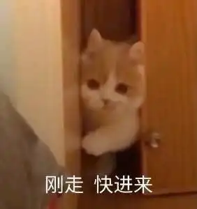  一些让对象无语的沙雕情头