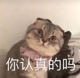  沪白领平均月薪10001元网友我大概是个假白领