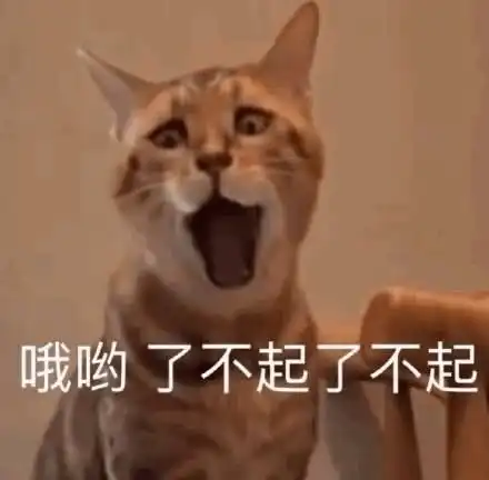 斗图爱你表情包小可爱