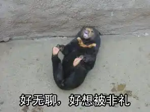  国家一级保护动物的表情包画风粗犷收好不谢