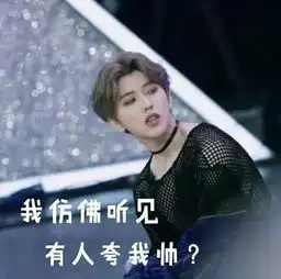  江山如此多娇,而我只为蔡徐坤折腰表情包