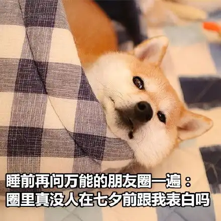  来一组七夕特供表情包,狗子们快拿走
