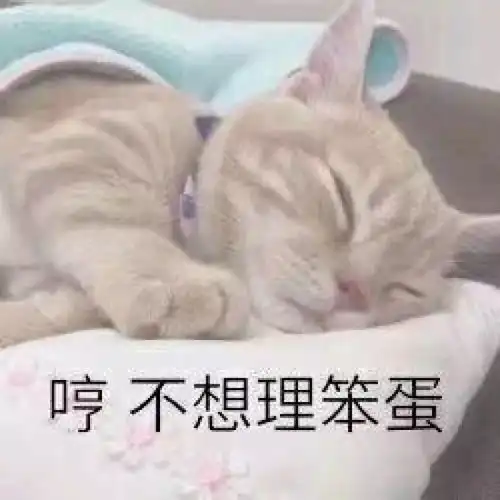  删帖了只留下表情包