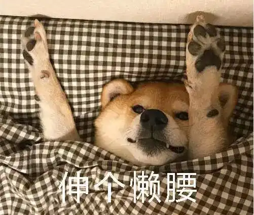 没有什么能阻挡我n刷电视剧的欲望