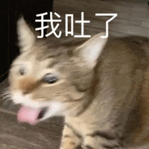  超可爱表情精选