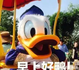  打招呼表情包早上好鸭你在干嘛鸭哈喽鸭今天吃什么鸭