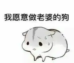  仓鼠夫君君表情图片下载仓鼠夫君妻奴表情包无水印版下载飞翔下载