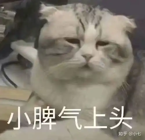  我和憨憨女友的日常