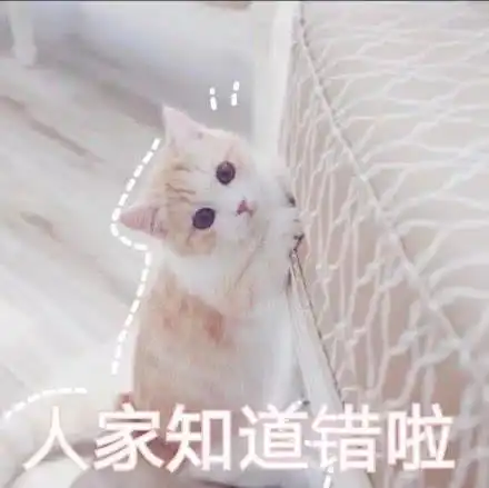  表情包软萌猫咪撒娇卖萌系列软妹必备