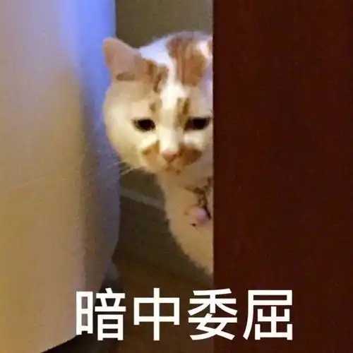  notebookpipinstall只有星号只有给淘宝店铺精准打标,才能快速获得优质流量...