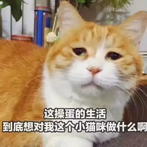  五月天演唱会怎么样心疼自己