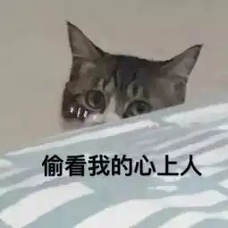 向苍天认输表情包