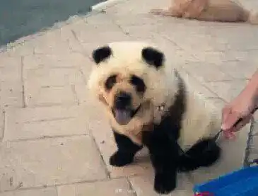  wildness的相册for了bean瓣