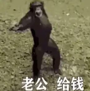  老公给钱表情包猴子动图