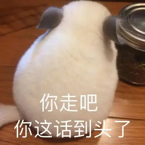  表情包你走吧,这话到头了