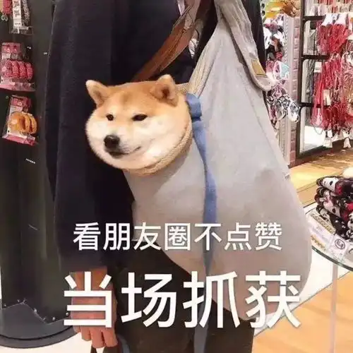 当场击毙表情包背景