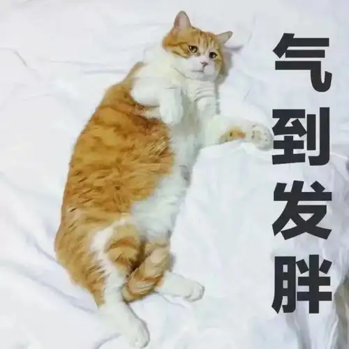  沙雕表情包瞧一瞧