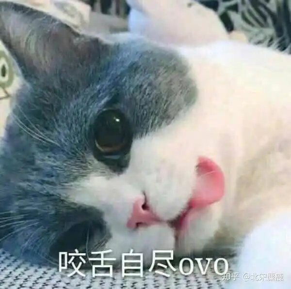  有哪些让人看到就开心的图片或者表情包啊