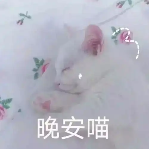  朋友圈晚安动态最火表情包晚上好表情图片动画