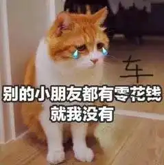  春节期间吉安出租车临时涨价,加收5元每车次