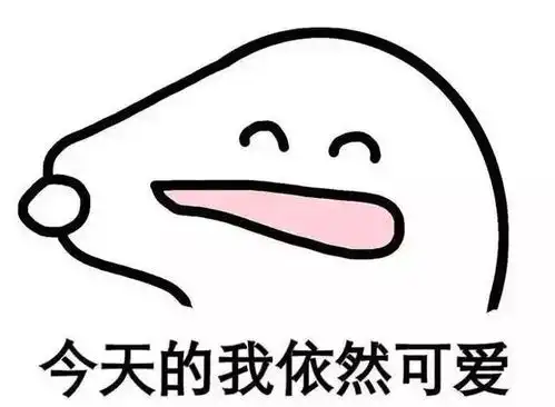  给大家介绍一下这是我的