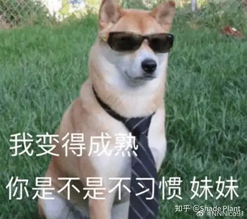  被妹妹叫欧尼酱是什么体验