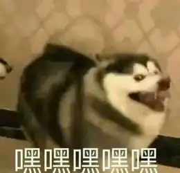  真人教程喂喂喂,别因为这个偷懒烂脸啊