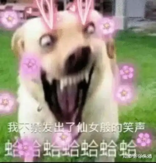  如何能从30的英语分提到及格