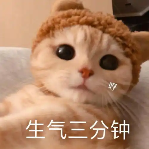 人脸熊猫表情包头像