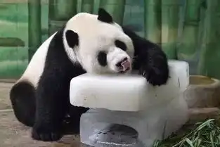  南昌炎炎夏日,这些避暑习惯竟然都是错的