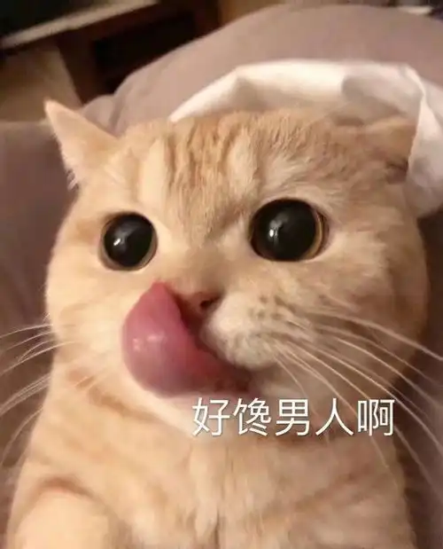  幽默笑话不是那意思,狐狸精哪里有你这么丑的