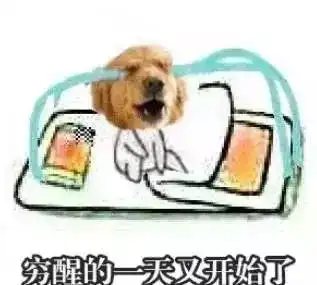  养了大金毛,你就拥有了一个强大的表情包