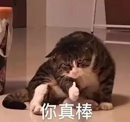  科二科三打方向的正确姿势,小小方向盘,也有大讲究