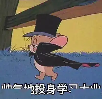 猫和老鼠表情包兄弟你这肾不错啊