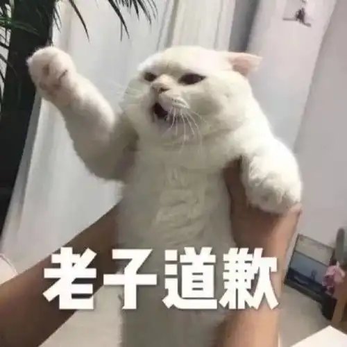  一些私藏的表情包