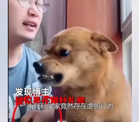 打狗狗表情包亲生