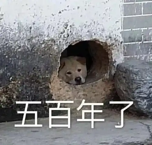  e句话高考第一天,今年又有什么梗