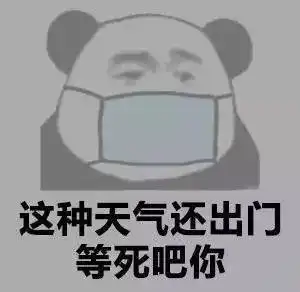  熊猫头表情包i门在那边滚
