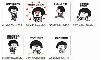 高傲表情包是谁小小少年