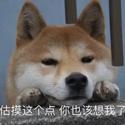  女朋友生日该怎么搞浪漫惊喜