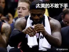 nba表情包带字图片七夕