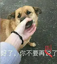 打狗狗表情包最怕