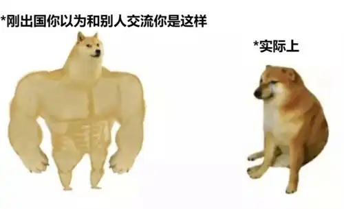 柴犬挨打表情包ems