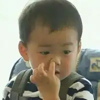  宋民国表情包微信
